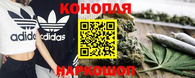 трава Новозыбков