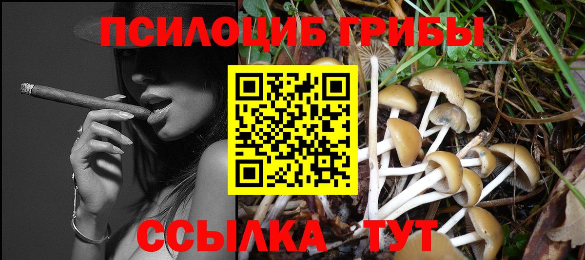 Псилоцибиновые грибы прущие грибы  Вход с VPN  Санкт-Петербург  Псилоцибиновые грибы Psilocybe 
