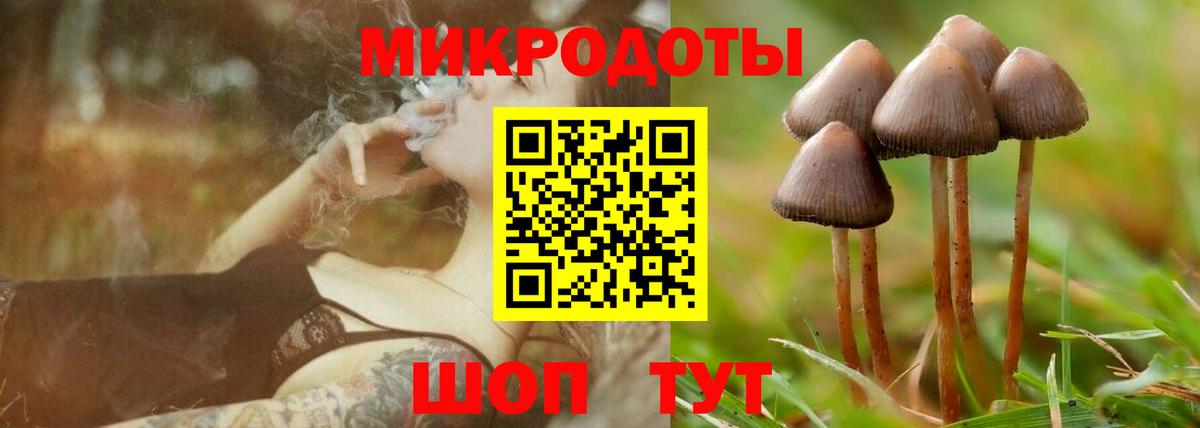 Галлюциногенные грибы Psilocybe Санкт-Петербург